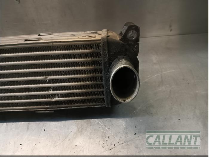Gebruikte Intercooler Landrover Discovery III (LAA/TAA) 2.7 TD V6 Prijs € 78,65 Inclusief btw aangeboden door Garage Callant
