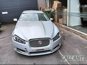 Gebruikte Dak Jaguar XF Sportbrake 2.2 D 16V Prijs € 726,00 Inclusief btw aangeboden door Garage Callant