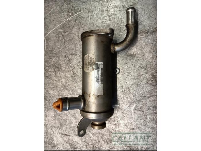 Gebruikte EGR koeler Landrover Range Rover Sport (LS) 2.7 TDV6 24V Prijs € 151,25 Inclusief btw aangeboden door Garage Callant