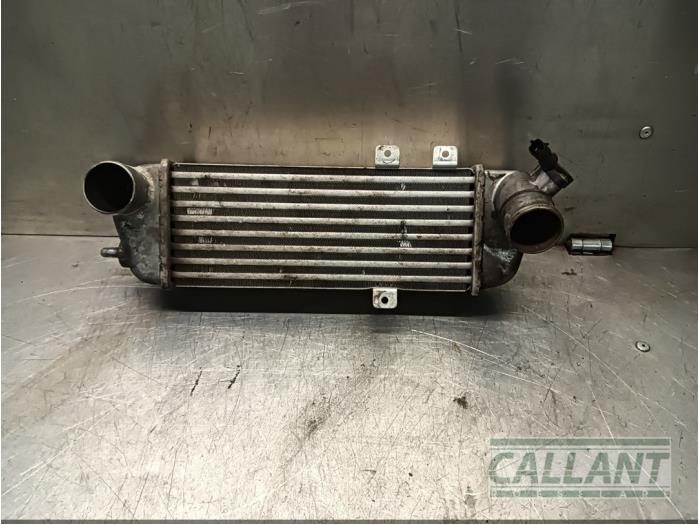 Gebruikte Intercooler Hyundai i30 Crosswagon (WWH) 1.6 CRDi 16V VGT LP Prijs € 72,60 Inclusief btw aangeboden door Garage Callant
