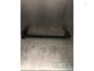 Gebruikte Intercooler Dacia Duster (HS) 1.5 dCi Prijs € 78,65 Inclusief btw aangeboden door Garage Callant