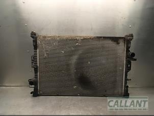 Gebruikte Radiateur Landrover Freelander II 2.2 tD4 16V Prijs € 60,50 Inclusief btw aangeboden door Garage Callant