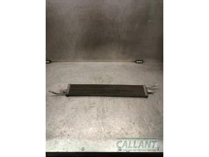 Gebruikte Brandstofkoeler Landrover Range Rover Sport (LS) 3.0 S TDV6 Prijs € 60,50 Inclusief btw aangeboden door Garage Callant