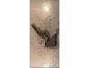 Fiat Tipo (356S) 1.4 16V Motorkap Scharnier