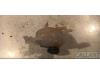 Fiat Tipo (356S) 1.4 16V Expansievat