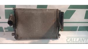 Gebruikte Intercooler Jaguar XJ (X351) 3.0 D V6 24V Prijs € 187,55 Inclusief btw aangeboden door Garage Callant