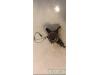 DS DS 4/DS 4 Crossback (NX) 1.6 BlueHDI 115 Asschenkel links-voor