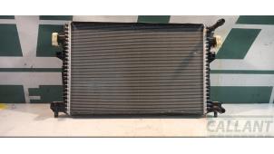 Gebruikte Radiateur Skoda Kamiq 1.0 TSI 12V Prijs € 133,10 Inclusief btw aangeboden door Garage Callant