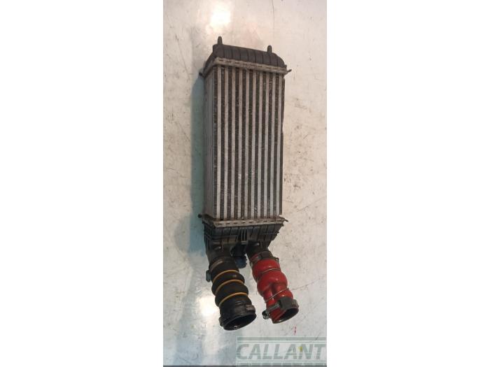 Gebruikte Intercooler Citroen C4 Cactus (0B/0P) 1.5 Blue HDi 100 Prijs € 60,50 Inclusief btw aangeboden door Garage Callant