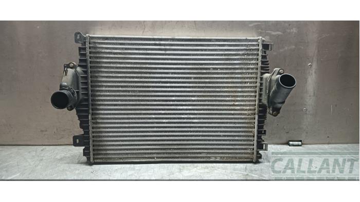 Gebruikte Intercooler Jaguar XJ (X351) 2.0 i4 Ti 16V Prijs € 242,00 Inclusief btw aangeboden door Garage Callant