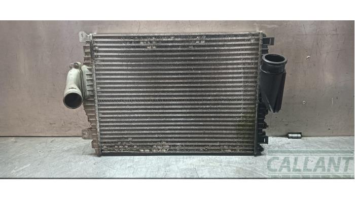 Gebruikte Intercooler Jaguar S-type (X200) 2.7 D 24V Prijs € 121,00 Inclusief btw aangeboden door Garage Callant