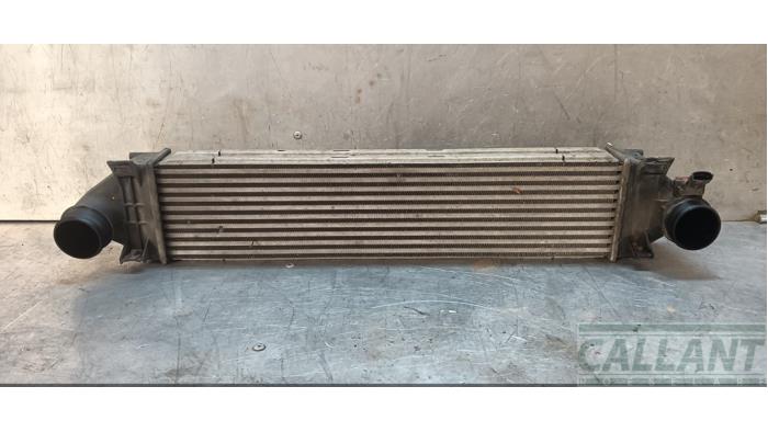 Gebruikte Intercooler Landrover Discovery Sport (LC) 2.2 sd4 16V Prijs € 102,85 Inclusief btw aangeboden door Garage Callant