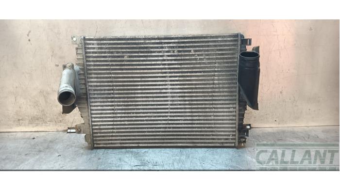 Gebruikte Intercooler Jaguar XJ (X350) 2.7d V6 24V Prijs € 187,55 Inclusief btw aangeboden door Garage Callant