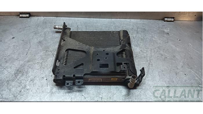Gebruikte Radiateur Landrover Range Rover Velar (LY) 2.0 16V P400e AWD Prijs € 211,75 Inclusief btw aangeboden door Garage Callant