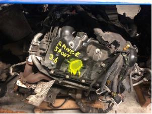 Gebruikte Motor Landrover Range Rover Sport (LS) 3.6 TDV8 32V Prijs op aanvraag aangeboden door Autohandel-Smet Gebroeders NV