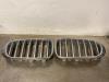 BMW X4 (F26) xDrive35d 24V Grille