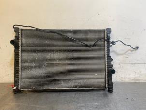 Gebruikte Radiateur Landrover Range Rover Evoque (LVJ/LVS) 2.0 D 150 16V 5-drs. Prijs op aanvraag aangeboden door Autohandel-Smet Gebroeders NV