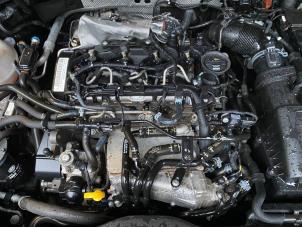 Gebruikte Motor Audi A3 Sportback (8VA/8VF) 1.6 TDI 16V Prijs op aanvraag aangeboden door Autohandel-Smet Gebroeders NV