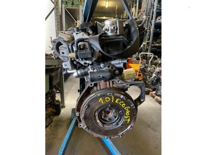 Gebruikte Motor Ford Focus 3 1.0 Ti-VCT EcoBoost 12V 125 Prijs op aanvraag aangeboden door Autohandel-Smet Gebroeders NV