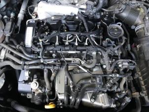 Gebruikte Motor Audi Q2 (GAB/GAG) 1.6 30 TDI 16V Prijs op aanvraag aangeboden door Autohandel-Smet Gebroeders NV