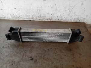Gebruikte Intercooler Ssang Yong Rodius 2.2 SV 220 e-XDi 16V 4WD Prijs op aanvraag aangeboden door Autohandel-Smet Gebroeders NV