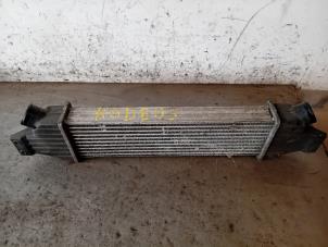 Gebruikte Intercooler Ssang Yong Rodius 2.2 SV 220 e-XDi 16V 4WD Prijs op aanvraag aangeboden door Autohandel-Smet Gebroeders NV