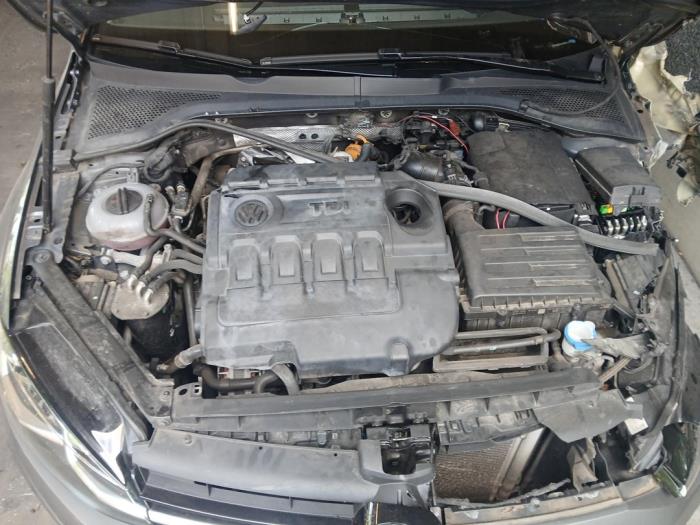 Gebruikte Motor Volkswagen Golf VII (AUA) 1.6 TDI BMT 16V Prijs op aanvraag aangeboden door Autohandel-Smet Gebroeders NV
