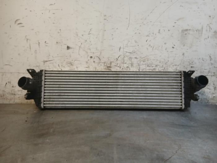 Gebruikte Intercooler Ford Focus 4 1.0 EcoBoost 12V Hybrid 125 Prijs op aanvraag aangeboden door Autohandel-Smet Gebroeders NV