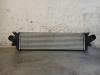 Ford Focus 4 1.0 EcoBoost 12V Hybrid 125 Intercooler