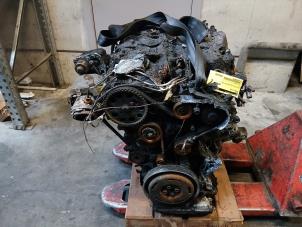 Gebruikte Motor Audi Q5 (FYB/FYG) 2.0 35 TDI Mild hybrid 16V Prijs op aanvraag aangeboden door Autohandel-Smet Gebroeders NV