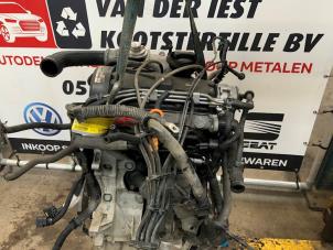 Gebruikte Motor Volkswagen Polo IV (9N1/2/3) 1.4 TDI 75 Prijs € 225,00 Margeregeling aangeboden door Autodemontage van der Iest