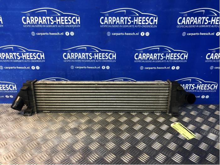 Gebruikte Intercooler Ford S-Max (GBW) 2.0 TDCi 16V 140 Prijs € 50,00 Margeregeling aangeboden door Carparts Heesch
