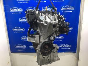 Gebruikte Motor Ford Fiesta 6 1.0 EcoBoost 12V 125 Prijs € 1.850,00 Margeregeling aangeboden door Carparts Heesch