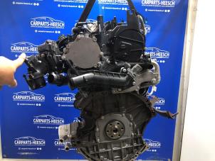 Gebruikte Motor Ford Fiesta 7 1.0 EcoBoost 12V Prijs € 2.362,50 Margeregeling aangeboden door Carparts Heesch