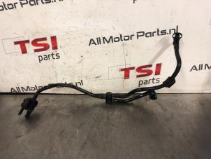 Gebruikte Leiding (diversen) Volkswagen Golf VII (AUA) 1.4 GTE 16V Prijs € 30,00 Inclusief btw aangeboden door TSI-Parts / Allmotorparts B.V.