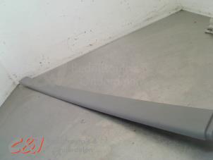 Gebruikte Dak Renault Trafic New (FL) 1.9 dCi 82 16V Prijs € 21,00 Margeregeling aangeboden door C&J Bedrijfsauto's & Onderdelen