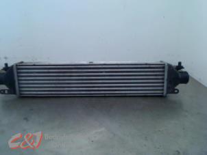 Gebruikte Intercooler Opel Combo 1.3 CDTI 16V Prijs € 68,25 Margeregeling aangeboden door C&J Bedrijfsauto's & Onderdelen