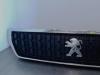 Peugeot Expert (V1/VA/VB/VE/VF/VT/VY) 2.0 Blue HDi 180 16V Grille
