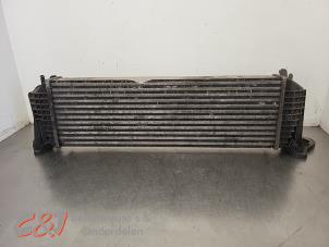 Gebruikte Intercooler Iveco New Daily VI 35C17, 35S17, 40C17, 50C17, 65C17, 70C17 Prijs € 68,25 Margeregeling aangeboden door C&J Bedrijfsauto's & Onderdelen