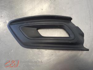Gebruikte Afdekplaat mistlamp links Ford Transit Custom 2.0 TDCi 16V Eco Blue 130 Prijs € 21,00 Margeregeling aangeboden door C&J Bedrijfsauto's & Onderdelen