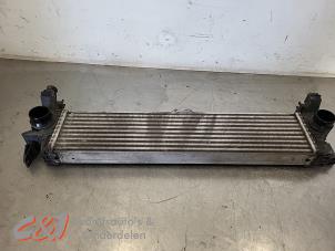 Gebruikte Intercooler Mercedes Vito (447.6) 1.6 111 CDI 16V Prijs € 63,00 Margeregeling aangeboden door C&J Bedrijfsauto's & Onderdelen