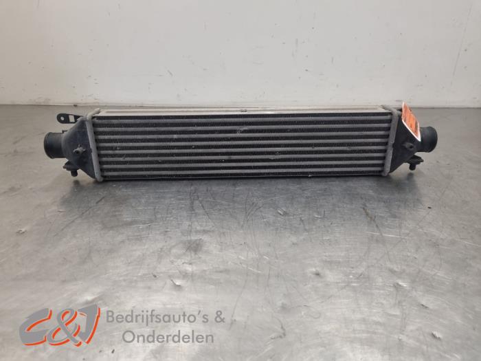 Gebruikte Intercooler Fiat Doblo Cargo (263) 1.3 D Multijet Prijs € 29,40 Margeregeling aangeboden door C&J Bedrijfsauto's & Onderdelen