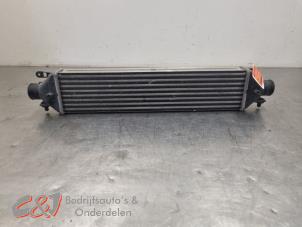 Gebruikte Intercooler Fiat Doblo Cargo (263) 1.3 D Multijet Prijs € 29,40 Margeregeling aangeboden door C&J Bedrijfsauto's & Onderdelen
