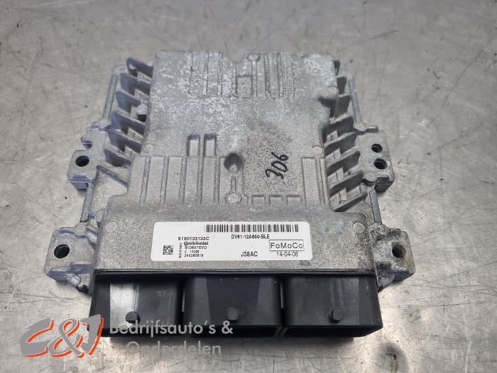 Gebruikte Computer Motormanagement Ford Transit Connect (PJ2) 1.6 TDCi 16V 95 Prijs € 131,25 Margeregeling aangeboden door C&J Bedrijfsauto's & Onderdelen