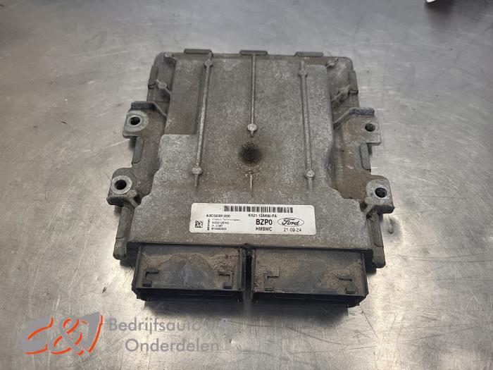Gebruikte Computer Motormanagement Ford Transit 2.0 TDCi 16V Eco Blue 130 Prijs € 105,00 Margeregeling aangeboden door C&J Bedrijfsauto's & Onderdelen