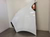 Renault Trafic (1FL/2FL/3FL/4FL) 2.0 dCi 16V 110 Scherm links-voor