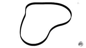 Gebruikte Multiriem Audi A6 Avant (C8) 3.0 V6 24V 55 TFSI Mild Hybrid Quattro Prijs € 36,30 Inclusief btw aangeboden door NNP Automotive Group