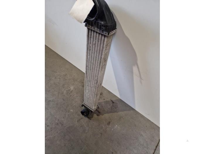 Intercooler Mercedes A-Klasse