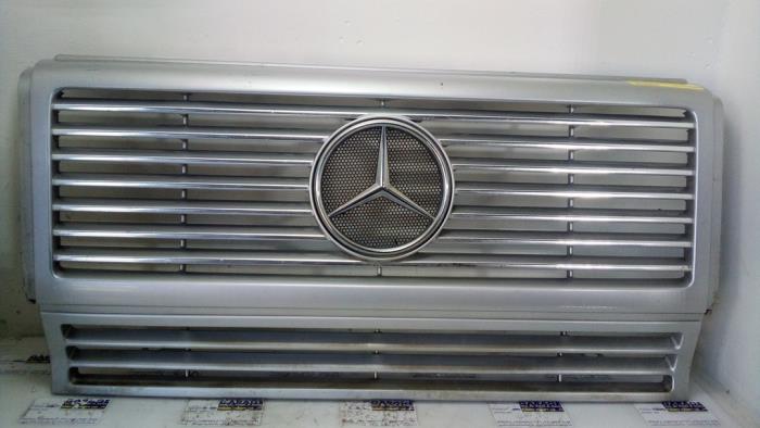 Grille Mercedes G-Klasse