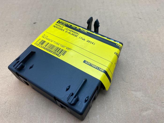 Module (divers) Mercedes E-Klasse